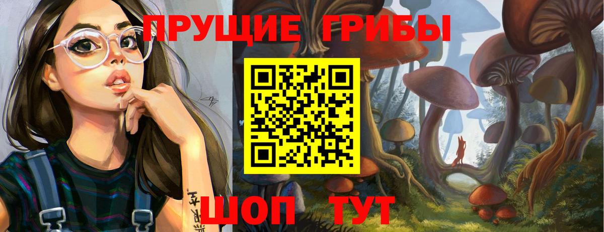 Галлюциногенные грибы Psilocybine cubensis Муром